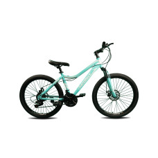 Smart rider 24 БІРОЗОВИЙ
