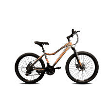 Smart rider 24 СІРО-ПОМАРАНЧЕВИЙ