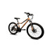 Smart rider 24 СІРО-ПОМАРАНЧЕВИЙ
